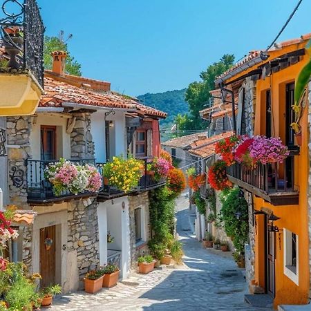 Logement Lumineux, Entierement Renove Avec Jardin Caumont-sur-Durance Dış mekan fotoğraf